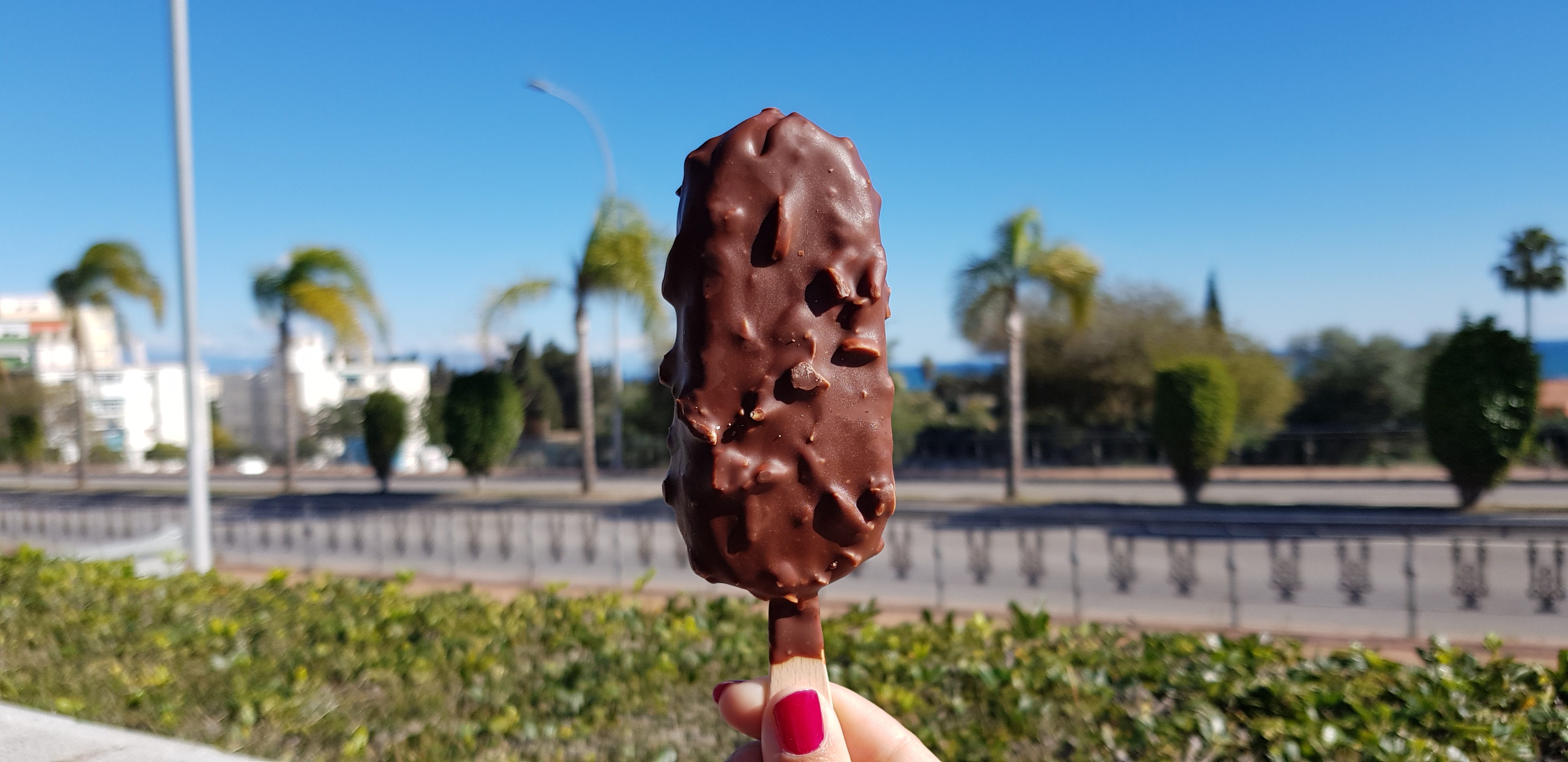 Veganes Magnum Eis