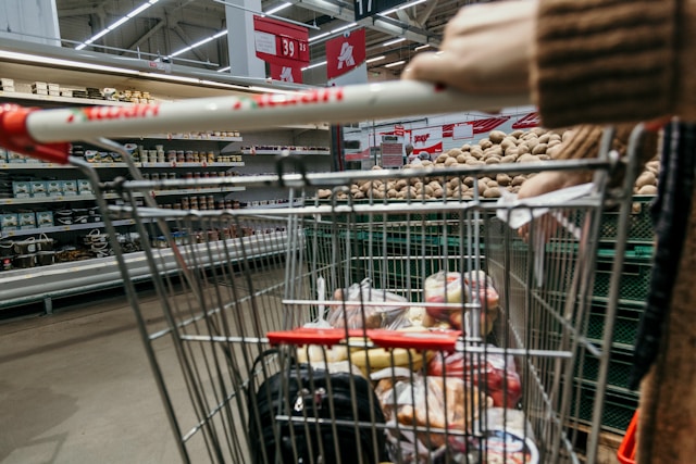 Vegane Produktneuheiten im Herbst 2024
