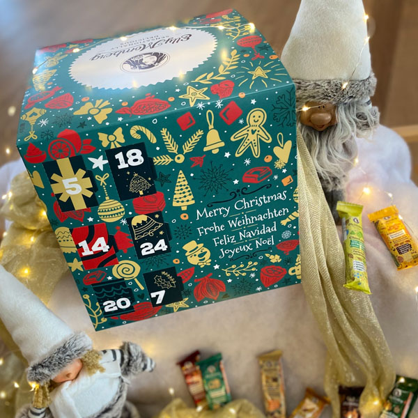 Veganer Adventskalender von Elly Momberg 2023